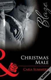 Capa do artigo Christmas Male