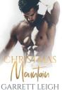 Christmas Mountain - Preview