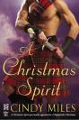 Christmas Spirit - Preview