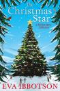 Christmas Star - Preview
