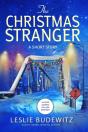 Christmas Stranger: A Short Story - Preview