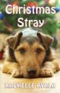 Christmas Stray - Preview