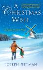 Christmas Wish - Preview
