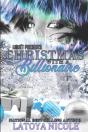 Christmas With A Billionaire - Preview