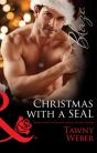 Christmas With A Seal - Preview