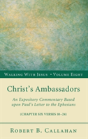 Christ'S Ambassadors - Preview