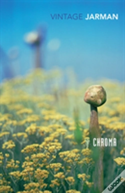 Capa do artigo Chroma