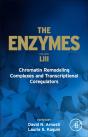 Chromatin Remodeling Complexes And Transcriptional Coregulators - Preview