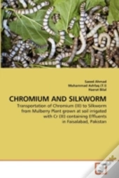 Chromium And Silkworm