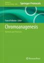 Chromoanagenesis - Preview