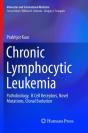 Chronic Lymphocytic Leukemia - Preview