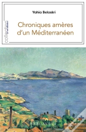 Chroniques Ameres D'Un Mediterraneen