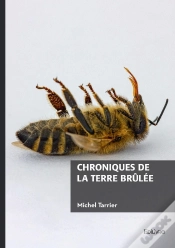 Capa do artigo Chroniques De La Terre Brûlée