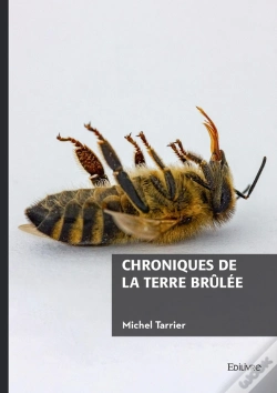 Capa do artigo Chroniques De La Terre Brûlée