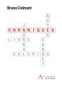 Chroniques ; Notes D'Un Économiste 2016 - Preview
