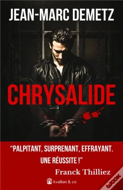 Capa do artigo Chrysalide
