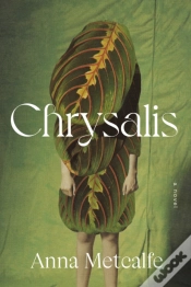 Capa do artigo Chrysalis