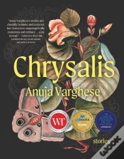 Capa do artigo Chrysalis