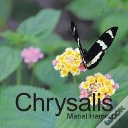 Chrysalis