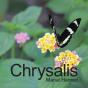 Chrysalis - Preview