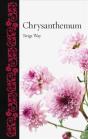 Chrysanthemum - Preview