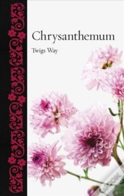 Capa do artigo Chrysanthemum
