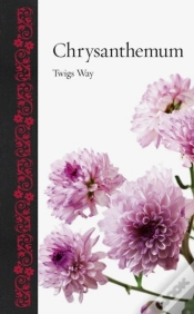 Capa do artigo Chrysanthemum