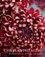 Chrysanthemums - Preview