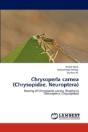 Chrysoperla Carnea (Chrysopidae, Neuroptera) - Preview