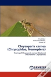Chrysoperla Carnea (Chrysopidae, Neuroptera)