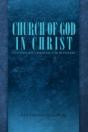 Church Of God In Christ: Leadership Guid - Preview