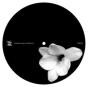Churches, Schools and Guns Remixed - Vinil - Preview