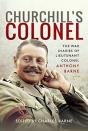 Churchill'S Colonel - Preview