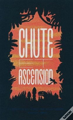 Capa do artigo Chute Et Ascension