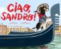 Ciao, Sandro! - Preview