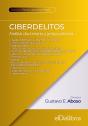 Ciberdelitos - Preview