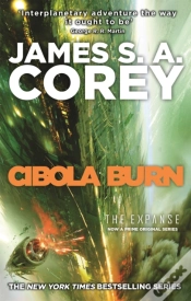 Capa do artigo Cibola Burn