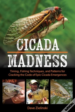 Capa do artigo Cicada Madness