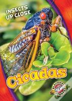 Cicadas
