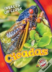Capa do artigo Cicadas