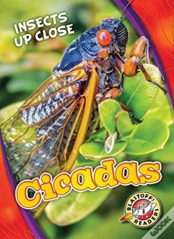 Capa do artigo Cicadas