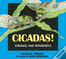 Cicadas!