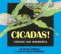Cicadas! - Preview