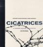 Cicatrices ; La Grande Guerre Aujourd'Hui - Preview