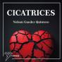Cicatrices Volumen I - Preview