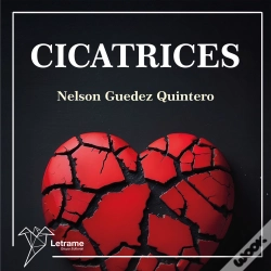 Capa do artigo Cicatrices Volumen I
