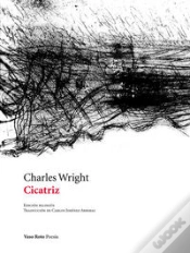 Capa do artigo Cicatriz