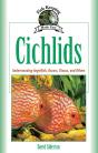 Cichlids - Preview