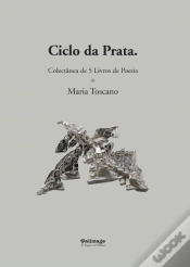 Capa do artigo Ciclo da Prata