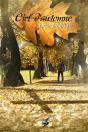 Ciel D'Automne - Preview
